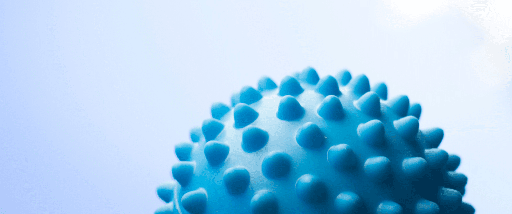 Physiothérapie vétérinaire au Québec