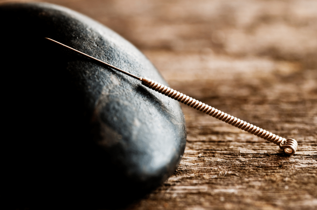 Acupuncture Vétérinaire au Québec